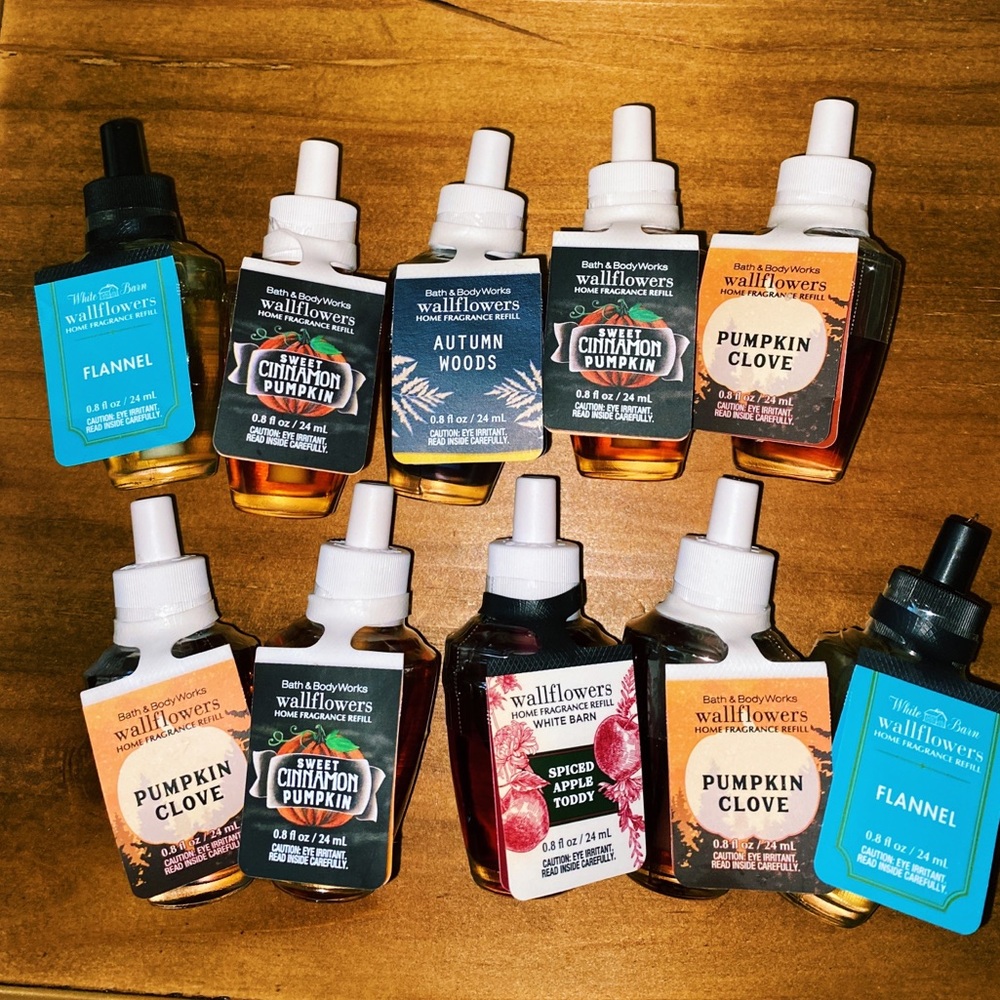 10 Fall BBW Wallflowers✨